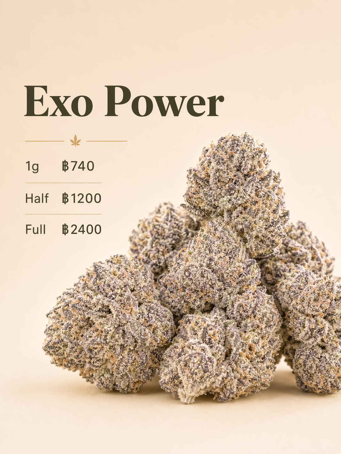 Exo Power